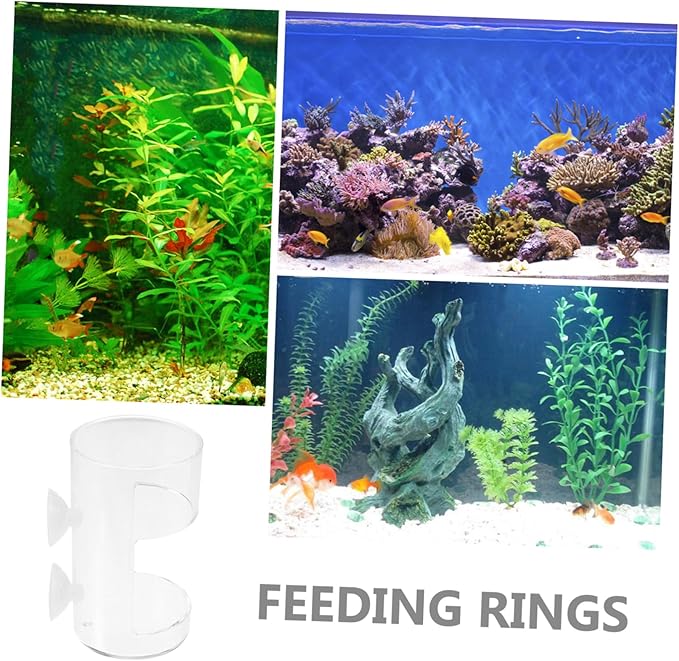 Fish Feeding for Aquariums Clear Floating Circle Cup Efficiently Distributes Food for Freshwater Tanks Fish Feeding Supplies
