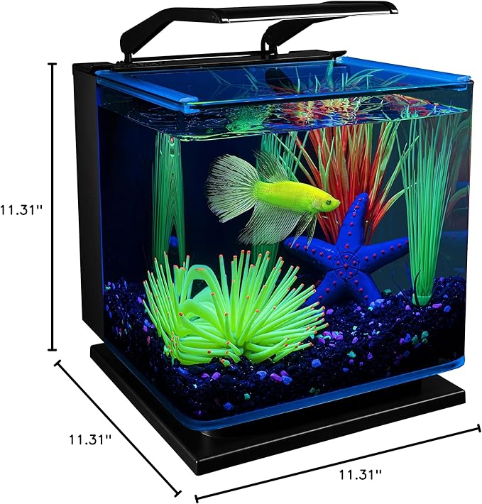 GloFish Betta Shadowbox Aquarium Kit