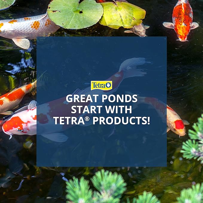 TetraPond Pond Sticks Pond Fish Food for Goldfish and Koi, Healthy Nutrition Clear Water Pond Food