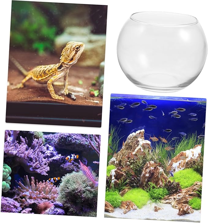 VANZACK Fish Bowl Vases Glass Bubble Bowl Vase - Clear Fish Bowl Round Vase Bowl Planter Terrarium Aquarium Bowls Mini Fish Tank Prizes Centerpieces Party Decor 12cm
