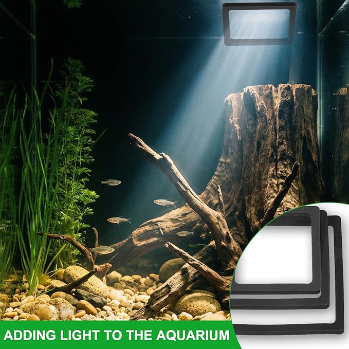 6PCS Aquarium Floating Plant Corral, Square Black EVA Fish Feeding Ring Set, Fish Tank Accessories for Mini Betta Tank, Floating Plants Holder|Feeder|Corral