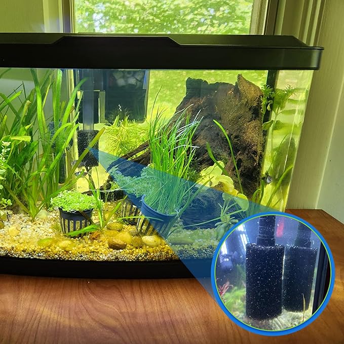 Sankoly 12 Pieces Aquarium Filter Sponge 0.8" Intake Shrimp Filter Coarse Sponge Filter for Aquarium Fish Tank, Protect Fish Fry and Shrimp, Black