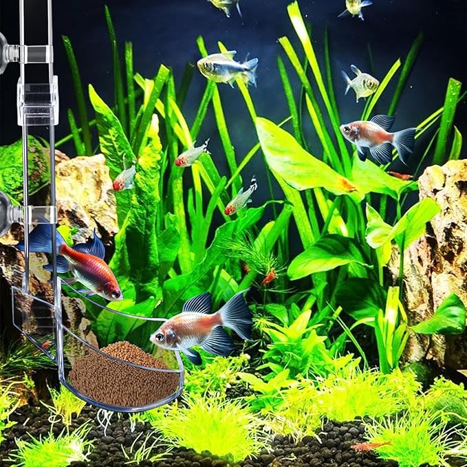 Shrimp Feeder Tube and Dish Set - Aquarium Fish Feeder with Feeding Ring and Cleaning Brush - Prevent Food Scattering