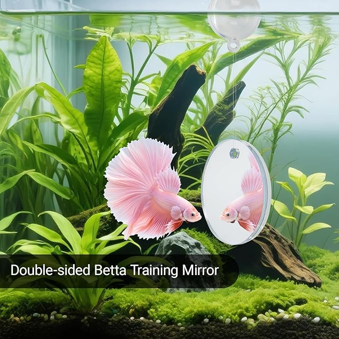 Betta Fish Toy Set: Betta Training Floating Mirror, Training/Feeding Ring, Spoon, and Resting Leaf. Promotes Exercise. Betta Toys, Resting & Feeding Kit.