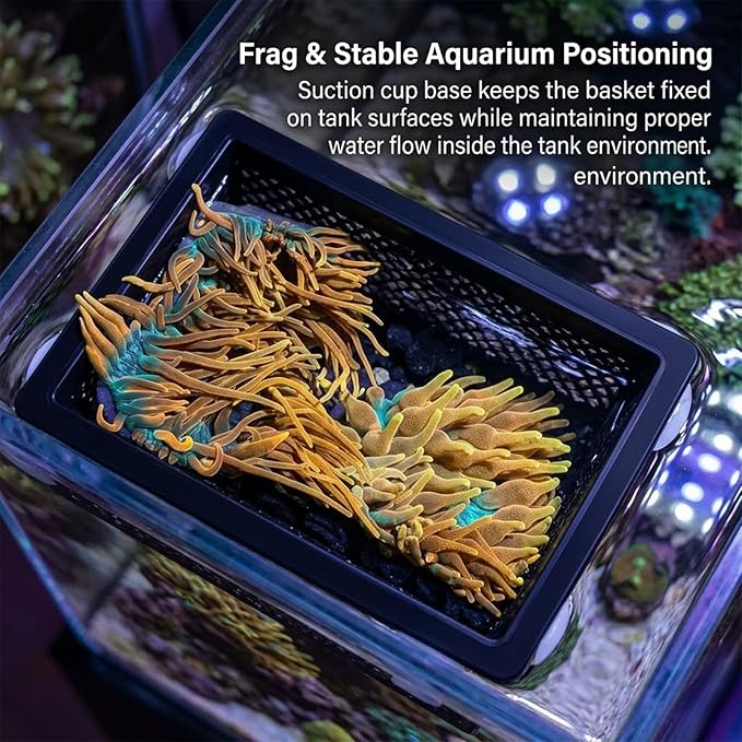 Floating Coral Basket for Reef Tanks (4x6 inch), Anemone and Frag Isolator Cup Mount, Saltwater Aquarium Safe