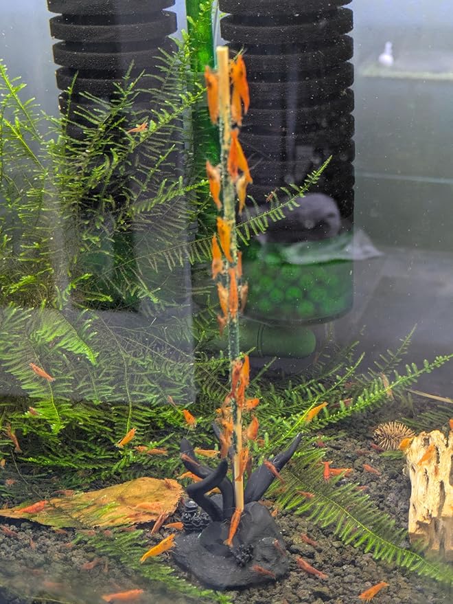 Shrimp Stix by ShrimpEnvy - Aquarium Lollies Food for Fish Snail Crab Invertebrates (Lil' Stix (10pcs x 4 inches))