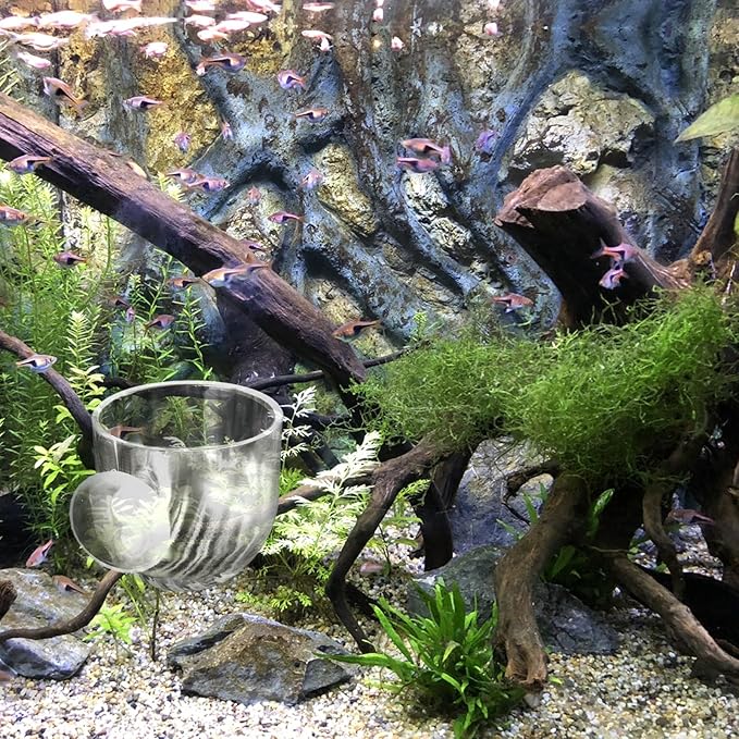 2Pcs Fish Tank Plant Holder Aquarium Plant Pot Suction Cup Planter Clear Acrylic Aquatic Plants Pot Aquarium Plants Cup for Fish Tank Decorations Water Culture Decor