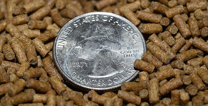 Wpc-Co. Freshwater Shrimp Food | Cherry & Ghost Shrimp Food | Aquarium Shrimp Food Pellets | 1.5oz