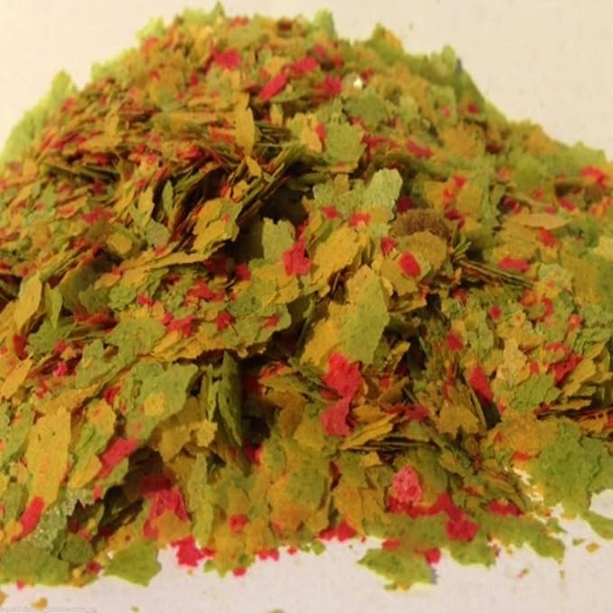 Zeigler Small Flakes with Vita-Pack for Discus, Cichlids, Guppies, Goldfish, Angel Fish,Tetras, Livebearers, Bettas, All Community Tropical Fish. Zeigler…1/2-lb