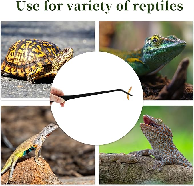Reptile Feeding Tongs, Stainless Steel Lizard Feeding Tongs, Aquarium Curved Feeding Tweezers for Reptiles with Rubber Tip, Terrarium Feeding Tongs for Gecko, 14.96" Length, Black