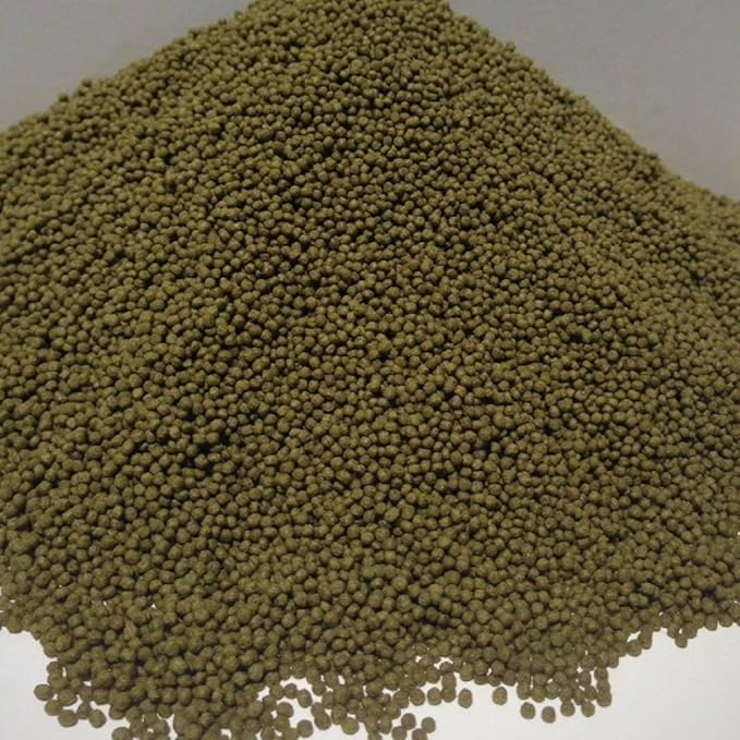 1/32"-0.8mm Green GRO Spirulina Floating Pellets for Baby Koi & All Pond Fish, Great for All Baby and Small Tropical Fish...1-lb