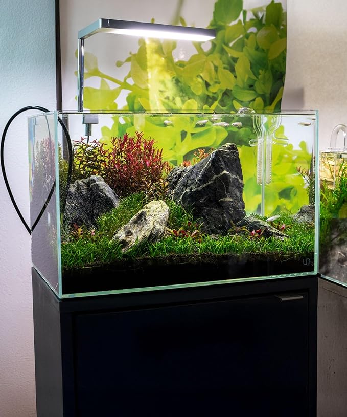 SubstrateSource Natural Aquarium Stones - Soft Grey to Bluish-Grey w/Subtle White Veins - Iwagumi Aquascaping Rocks, Freshwater Tanks, Betta Fish Tank, Shrimp, Cichlids - Boutique Seiryu, 10 LB