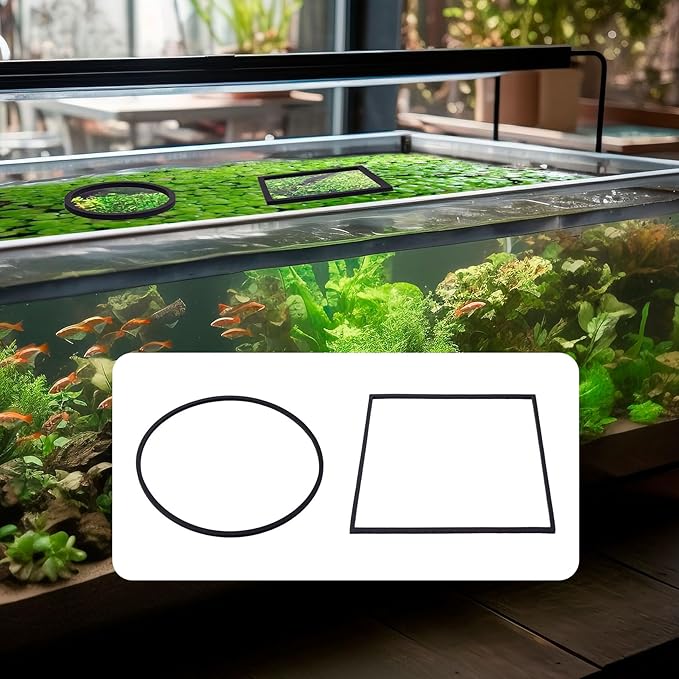 OIIKI 10 PCS Fish Feeding Rings Sets, Floating Aquarium Plant Corral, Floating Plant Rings, Oval and Square Fish Feeding Rings, Fish Tank Aquarium Accessories for Fish Tank, Floating Plants - Black