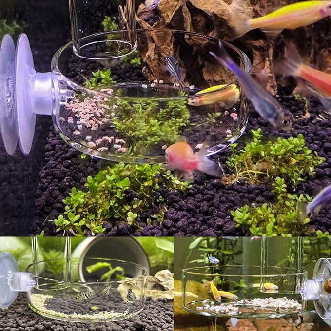 Aquarium Shrimp Feeder Dish Glass Fish Tank Feeding Bowls, 1pcs Round Glass Food Bowl (60mm), 2pcs Square Fish Feeding Bowls with Suction Cups (60mm)