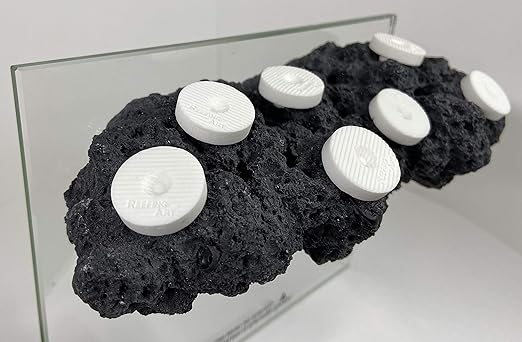 Magnetic Reef Coral Frag Rack Strong N52 Magnets for 1/2" Glass (Black)