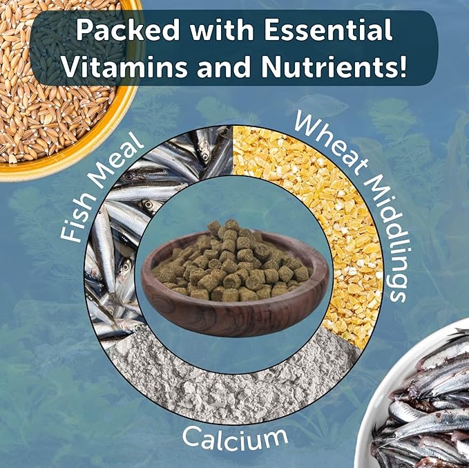 Aquatic Frog 4mm Sinking 40% Protein Nuggets. Ideal for All Frogs and Bottom Tropical Fish…4-lbs 12oz Jar