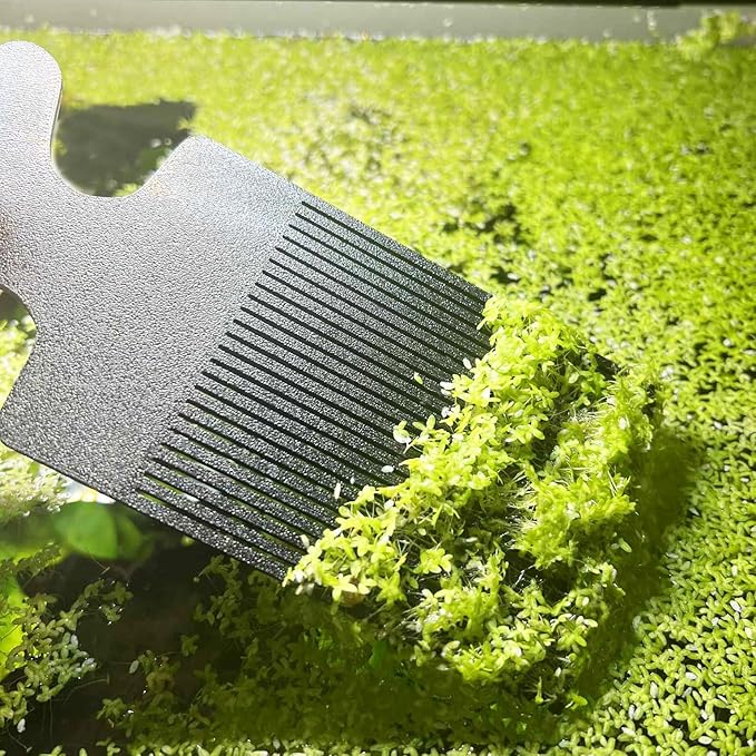 Aquarium Duckweed Removal Tool, 6.5 x 3 inch Floating Plant Comb Spatula, Aquatic Tank Cleaning Tool (Black)