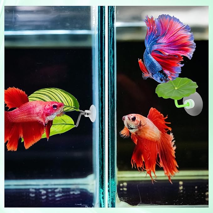 5 Pcs Fish Tank Accessories Aquarium Shrimp Hideout Betta Toys Betta Leaf Hammock Toys Set Plastic Aquarium Plants that Won’T Damage Fishtail Hideout with Spare Suction Cup for Smallfish