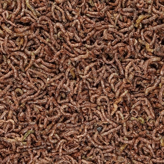 San Francisco Bay Brand Freeze-Dried Bloodworms Fish Food - All Natural High Protein Treat for Freshwater Fish, Bettas, Tetras, Barbs, Catfish, Aquatic Amphibians - Betta Fish Food - 1.13 oz (32g)
