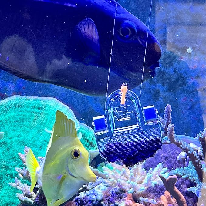 Aquacrylic Veggie Seaweed Feeding Clip Tool with Hanger to Feed Your Saltwater Fish Tank Nori and Other Algae includes Aquarium Holder. (Medium 8.5 in)