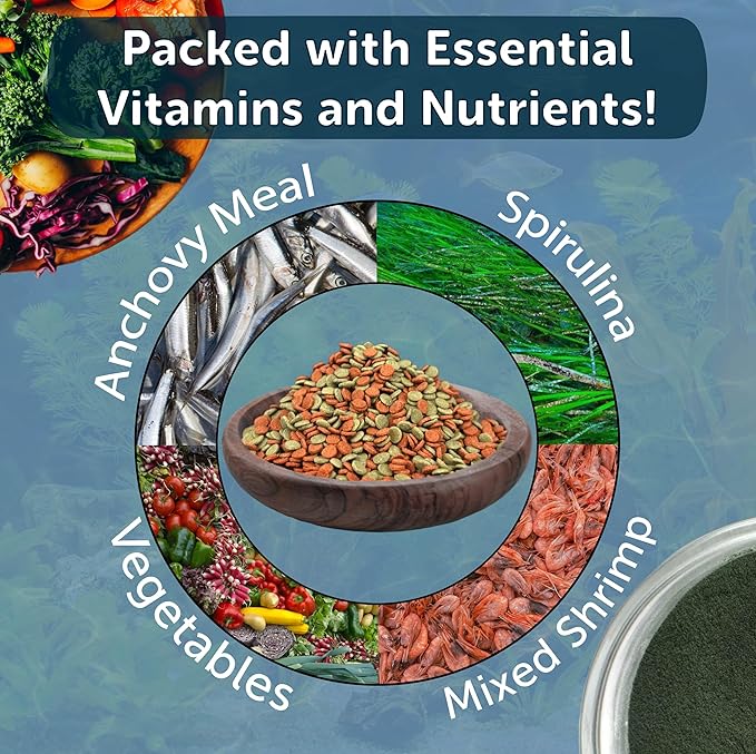 3.5mm - 1/8" Sinking Wafers of Spirulina, Algae & Color Enhancing Wafers for Bottom Fish, Shrimp, Snails, Tropicals. 4-Type Wafer & 12-Type Pellets Included...1-lb 6oz Canister