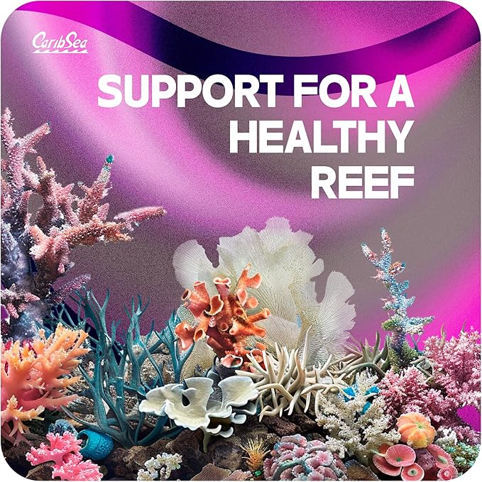 CaribSea Life Rock Frag Zone – 2.25 lb – Natural Aragonite-Based Frag Mounts for Reef Tanks – Ideal for Coral Frag Growout – Supports Healthy Coral Attachment