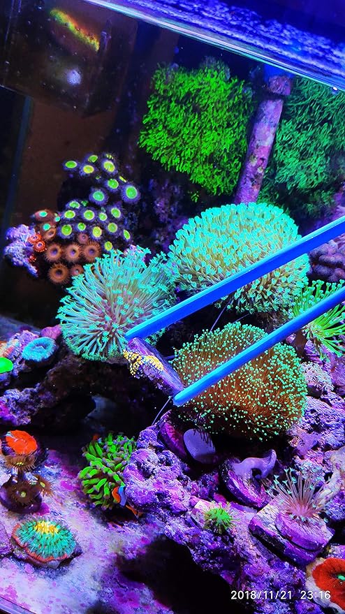 Aquarium Choice Coral Feeder Syringe - 11.8 Inch Reef Tweezers, Never Rusts, Fish Excreta Cleaner