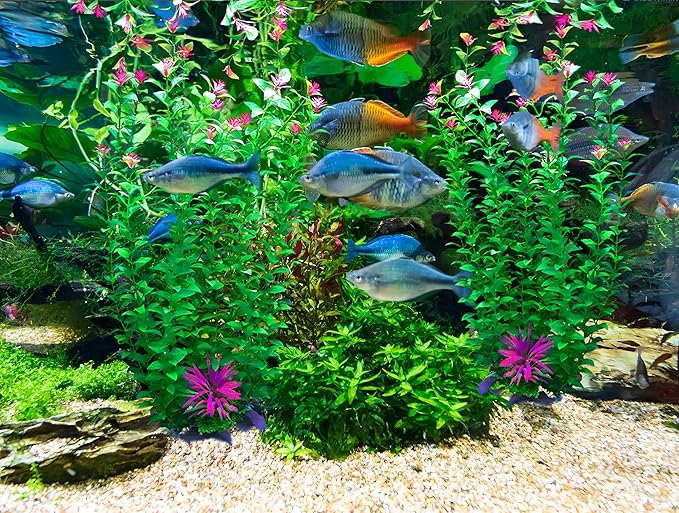 2 pcs Aquarium Decor Plants 21 Inches Extra Large Artificial Plastic Fish Tank Plants, Tall Fish Tank Decorations