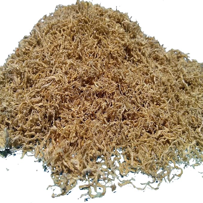 Freeze Dried California Blackworms - Loose, Farmed & Freeze Dried in California USA. NOT Imported - 25gram