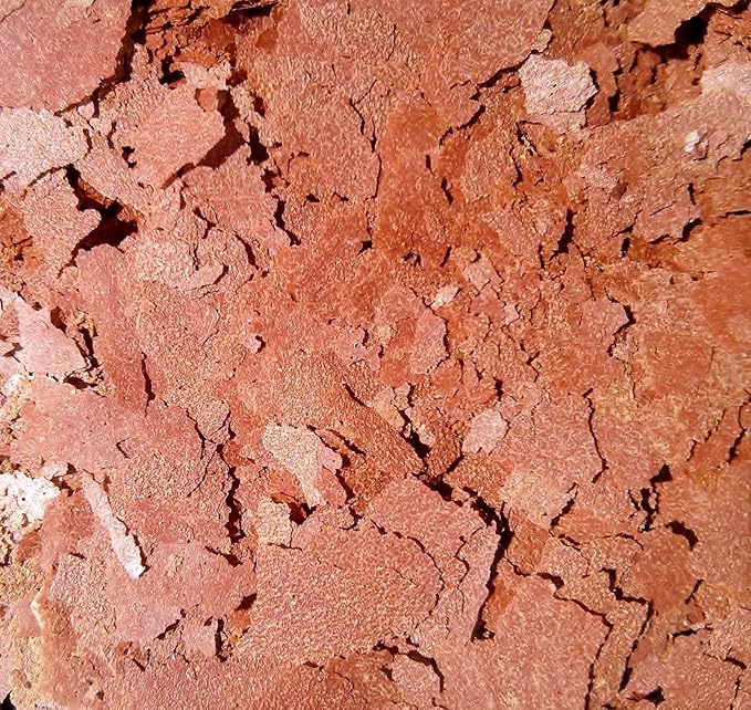 Bloodworm Flakes, High Protein Bloodworm Flakes for Discus, Cichlids, Tetras, Guppies, Live Bearers, All Community Tropical Fish - Premium AF Flakes - 1-lb