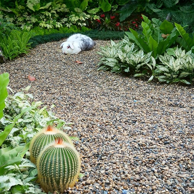 10 lbs Aquarium Gravel, 3-6mm Fish Tank Gravel, Succulent Cactus Pea Gravel for Indoor Plants, River Rocks for Gardening, Flower Pots, Vase Fillers, Garden Landscaping