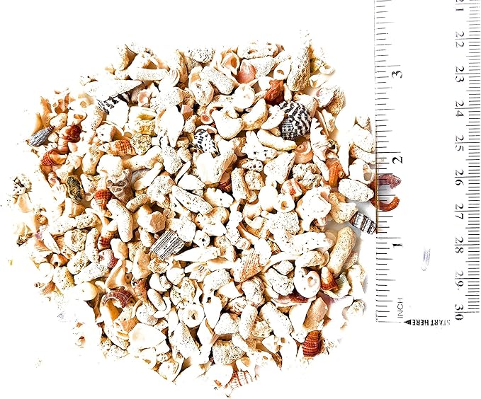 Middle Keys Marine Life LLC FINE Florida Keys Crushed Coral Aquarium Gravel 2.5 LB (~70 in3) for Aquariums, Terrariums, Vases, Landscaping, Bonsai, School Projects, Shell ID, Bio-Filtration