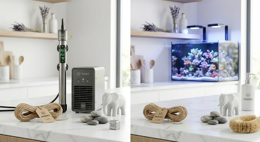 The Silent Hero of Aquascaping: Why Biological Filtration Outperforms Chemical Solutions