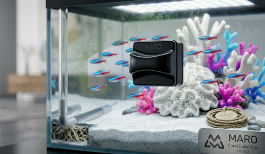 Routine Aquarium Maintenance: Essential Cleaning Tools for Crystal-Clear Glass