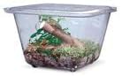 Aquarium/Terrarium, Plastic, 1 Gal