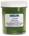 Carolina Moina Culture – Live Daphnid for Aquatic Studies & Fish Feeding | Ideal for Freshwater Larval Fish | Perfect for Classroom & Research Use