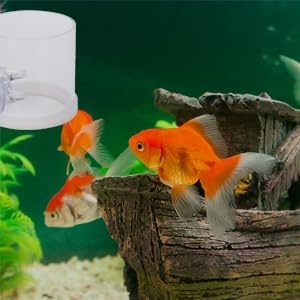Fish Suction Cup Feeder, Acrylic Transparent Fish Rings Food Feeder Clear Fishes Feeding Ring with Anti Collision Strip Aquarium Feeding Rings for Aquarium Fishes