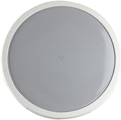 AFD350 - PTFE 12” Disc Diffuser - ¾ NPT connection - SSI Aeration - Original