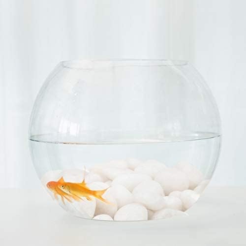 IVVTRYI Pet Supplies Aquarium Decorative Supplies