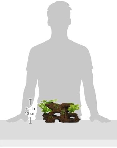Marina Naturals Malaysian Driftwood with Plants, Large
