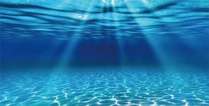 Natural Undersea Aquarium Background, Underwater Ocean Sunlight Fish Tank Background 24X12IN with 8 EVA Double-Sided Tape