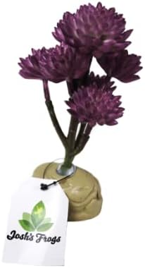 Josh's Frogs Arid Artificial Plants for Reptiles (Red Clover)