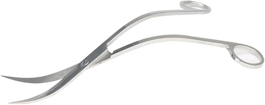BROPC Stainless Steel Mirror Wave Scissors - 9.8" Aquarium Scissors for Saltwater and Freshwater Plant Trimming and Maintenance