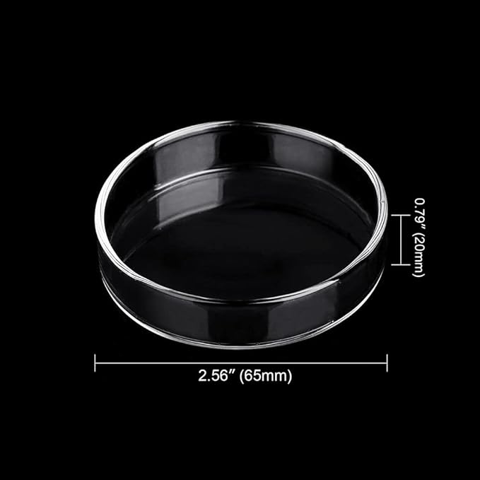 Aquarium Glass Feeder Dish Shrimp Feeding Dish Round Clear Glass Fish Feeder Bowl Fish Tank Food Tray Container Prevent Food Spilling, 65mm