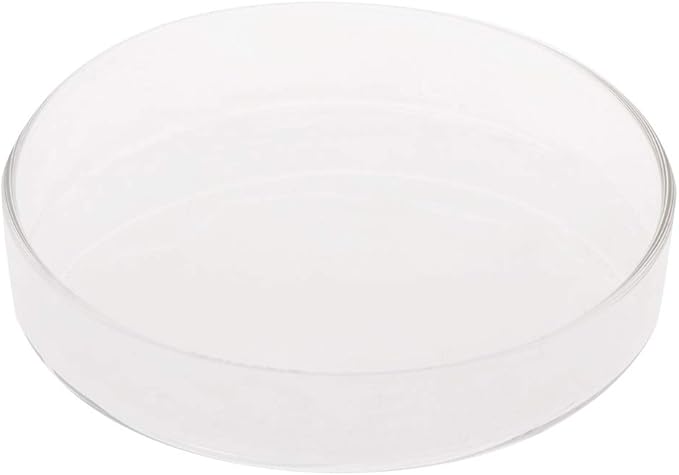 Youngy Arrival Fish Tank Feeder Aquarium Shrimp Glass Feeding Bowl Dish Tray 6 Size - D