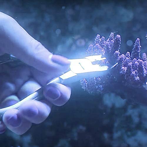 Coral Frag Cutters