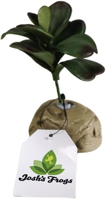 Josh's Frogs Arid Artificial Plants for Reptiles (Jade Succulent)