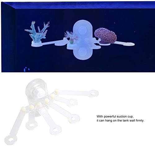 Pssopp Acrylic Aquarium Rack, Transparent Fish Bracket Holder Frag Plugs Rack Live Fish Suction Cup Stand with Six Claw