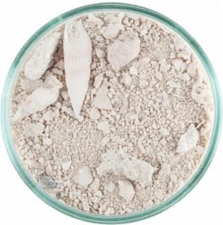 20 lbs Ocean Direct Natural Live Sand - 2 per Pack