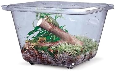 Aquarium/Terrarium, Plastic, 1 Gal